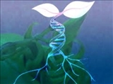 Department of Biotechnology