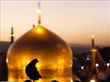 چون دشت تشنه در این آستان قدس در انتظار ابر عنایت نشسته است...